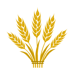 icon-kolosok